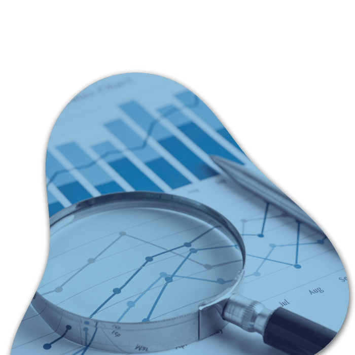 Custom BI Reporting image